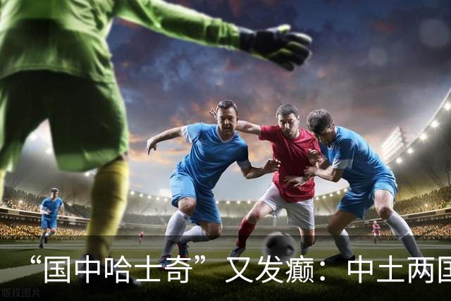 “国中哈士奇”又发癫：中土两国网民骂战背后的两套历史思维碰撞