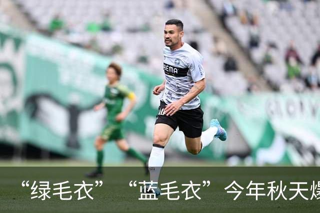 “绿毛衣”“蓝毛衣”今年秋天爆火，太高级了！