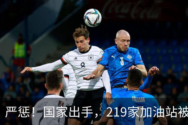 严惩！国家出手，219家加油站被查，手段曝光太隐秘，恶心的在后面