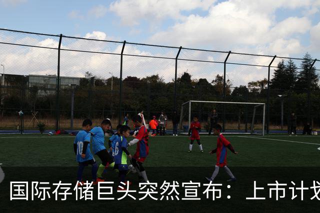 国际存储巨头突然宣布：上市计划暂停→