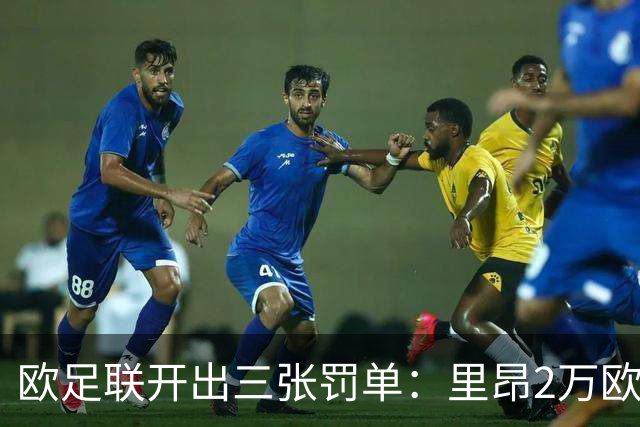 欧足联开出三张罚单：里昂2万欧，哈伊杜克8万欧，特拉布宗10万欧