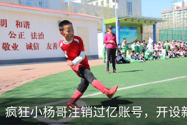 疯狂小杨哥注销过亿账号，开设新账号，网友纷纷替东北雨姐喊冤