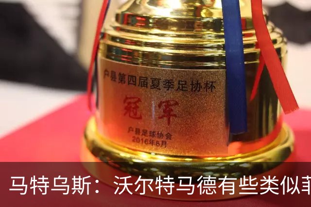 马特乌斯：沃尔特马德有些类似菲尔克鲁格，他应该回德国足坛踢球