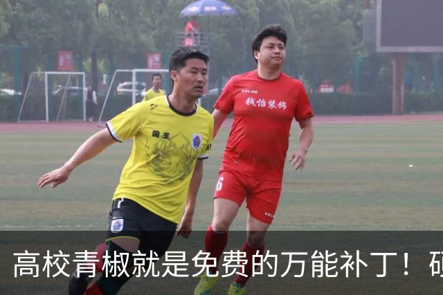 高校青椒就是免费的万能补丁！硕士点申报、师范认证、科研秘书......一样都没有落下，结果等到奖励的时候，什么都没有！！