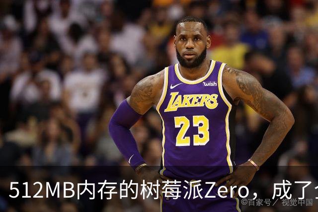 512MB内存的树莓派Zero，成了全家网络的DNS中枢
